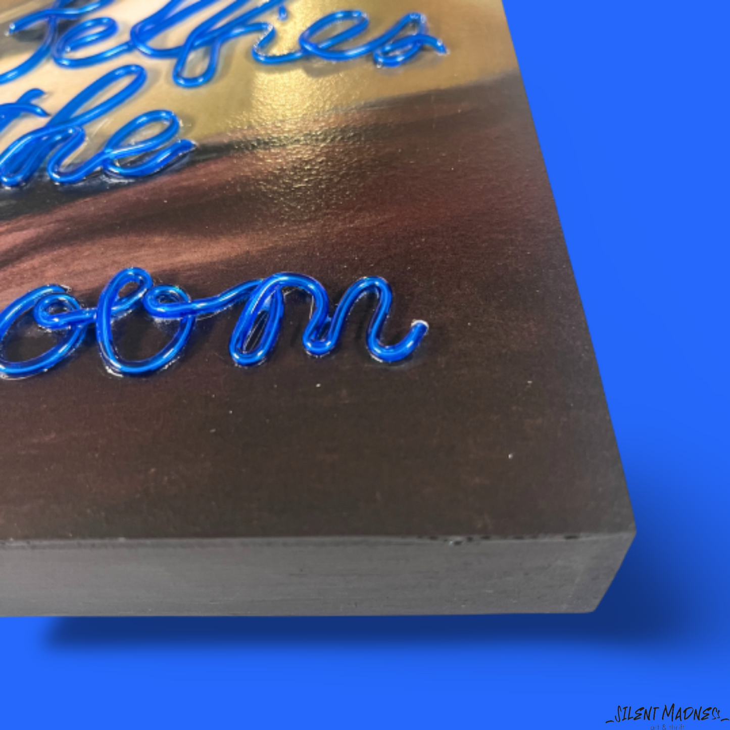 No Selfies In The Bathroom