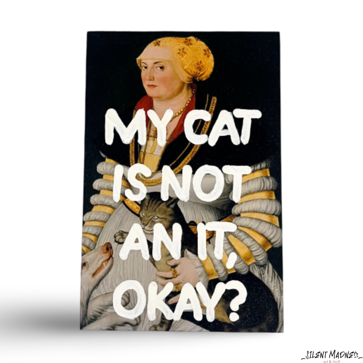 My Cat Is Not An It, Okay?