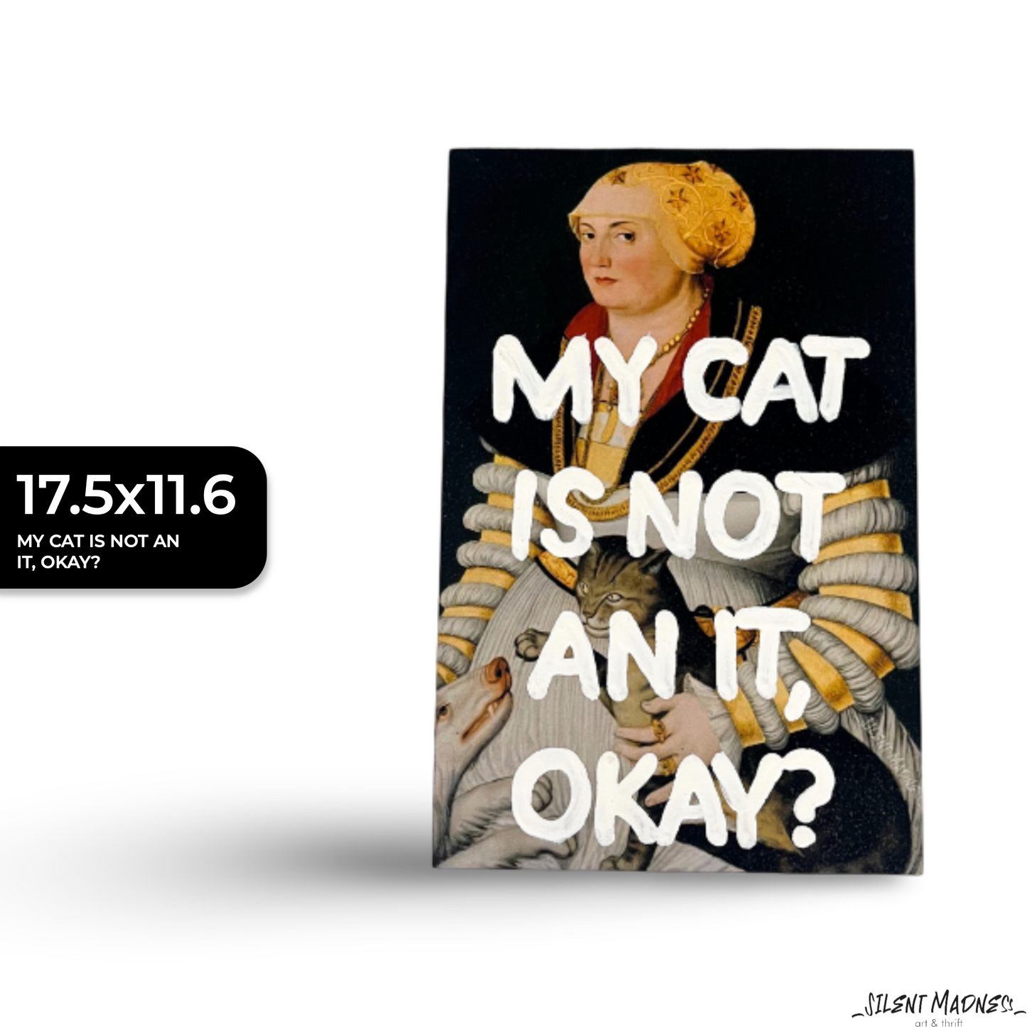 My Cat Is Not An It, Okay?