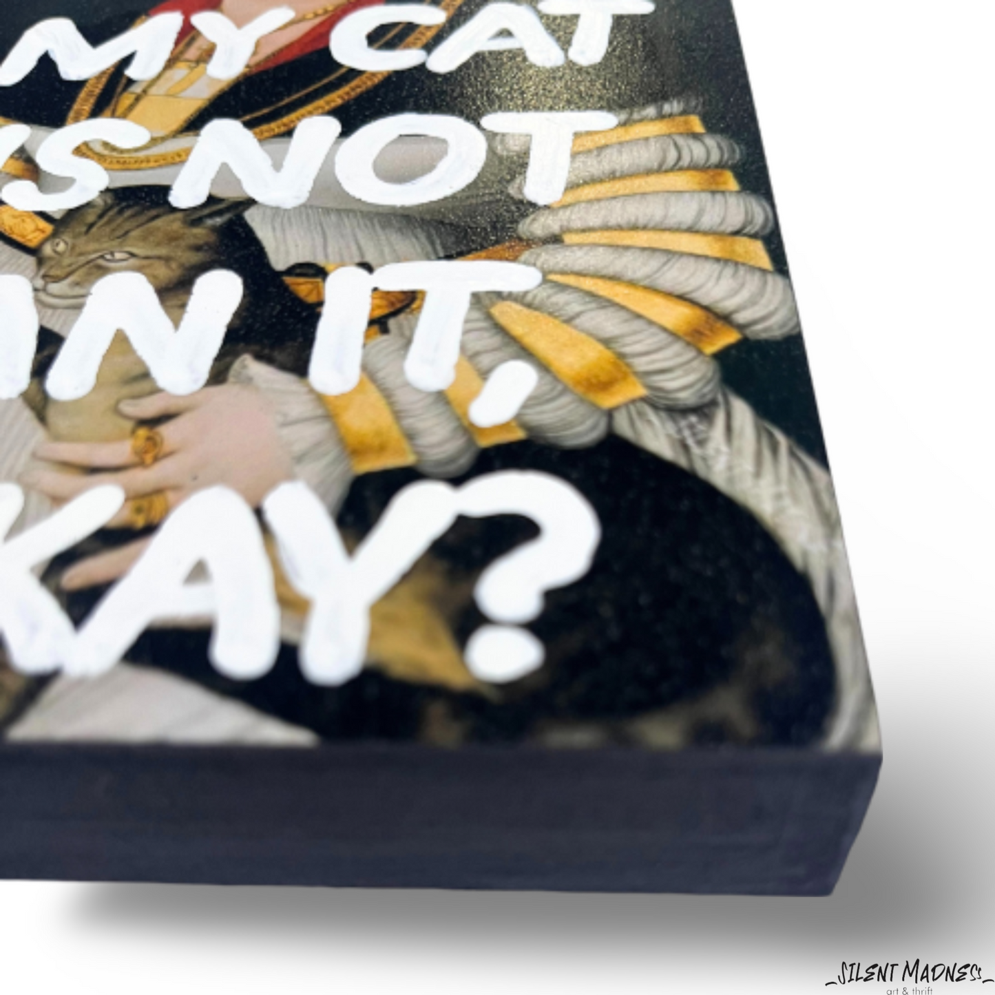 My Cat Is Not An It, Okay?